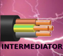 Logo firmy INTERMEDIATOR-Jakub Abramowicz